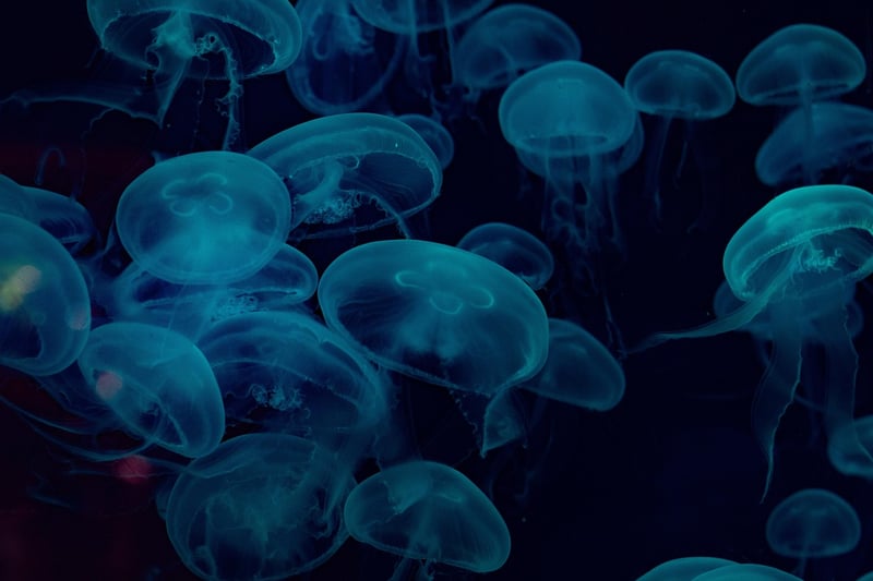 Underwater Cities